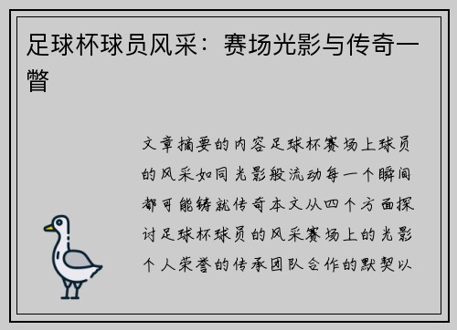 足球杯球员风采：赛场光影与传奇一瞥